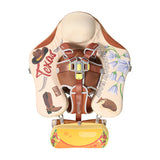 Flotador bebé sin aire Mambobaby™ Texas – Ayuda de natación para bebé con arnés y toldo UV, estampado animales y hojas.
